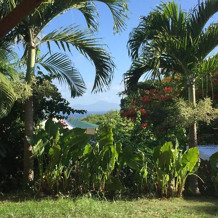 La Suite De Kaz'Hamac Grand-Bourg (Marie Galante) Exterior photo